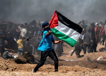 D:\2025\Juli 2025\15 Juli 2025\8\8\palestina.jpg