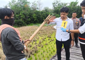 D:\2025\Juli 2025\21 Juli 2025\2\2\dsvvsd.jpg