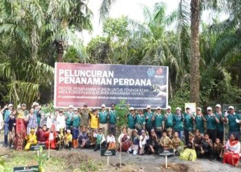 D:\2025\Juli 2025\25 Juli 2025\2\2\New Folder\Kurangi Emisi, DLH Kotabaru Tanam Pohon.jpg