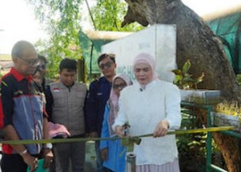 D:\2025\Juli 2025\29 Juli 2025\5\hal 5\Wakil Wali Kota Banjarmasin Hj Ananda saat meresmikan pencanangan Kampung Hijau.jpg