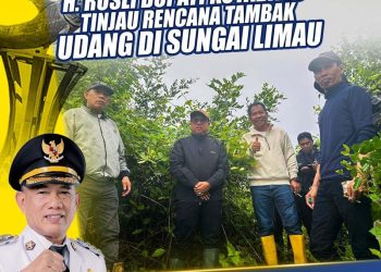 Langkah Nyata Bupati Kotabaru Dukung Ketahanan Pangan