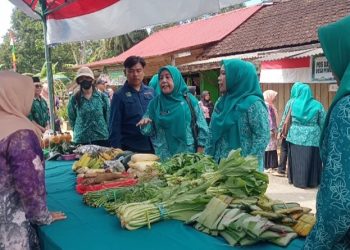 TP PKK Lakukan Penilaian Kesiapan Desa Aspek Pembinaan Keluarga