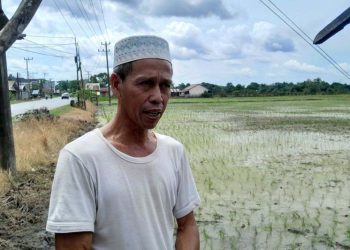 Warga Purut Tapin tanam padi guna persiapan Haul Guru Sekumpul