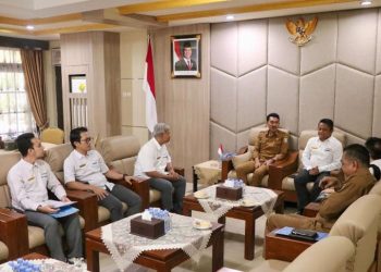 Bupati Terima Audiensi Kepala DJPb Kalsel