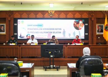 Gubernur Ajak Semua Sinergi Jaga Kawasan Rawan Kebakaran