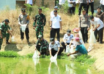 Bupati HSU Lepas Bibit Ikan Patin di Desa Garunggang