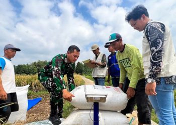 D:\2025\Agustus 2025\11 Agustus 2025\7\hal Ekonomi 11 Agustus) )\saccassca.jpg