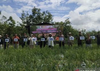 D:\2025\Agustus 2025\19 Agustus 2025\2\222\New Folder\Petani Pugaan Produksi Bawang Merah Hibrida.jpg