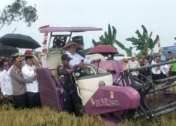 D:\2025\Agustus 2025\21 Agustus 2025\5\hal 5\Wakil Menteri Transmigrasi RI Viva Yoga Mauladi memanen.jpg