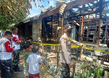 D:\2025\Agustus 2025\6 Agustus 2025\2\2\New Folder\Si Jago Merah Lahap Rumah di Banua Lawas.jpg