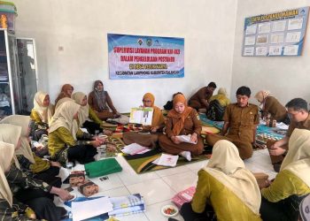 Dinkes Evaluasi Program KIA-Gizi di Posyandu Desa Teluk Karya