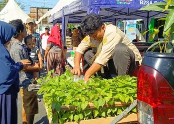 UPTD Balai Benih Jual Bibit Murah Berkualitas