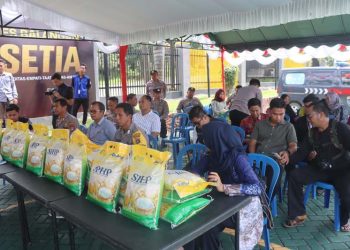 Bulog Kolaborasi Distribusikan Beras Murah untuk Stabilkan Harga Pangan