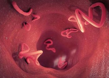 Balita Meninggal dengan Tubuh Penuh Cacing