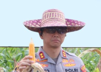 D:\2025\September 2025\29 September 2025\2\22\New Folder\Kapolres Tabalong Ikuti Panen Raya Serentak.jpg