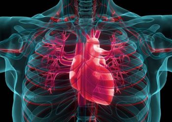 Keluarga Protes, Jasad Warga Australia Tanpa Jantung