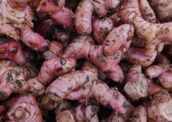 D:\2025\Oktober 2025\24 Oktober 2025\11\Halaman 1-11 Jumat\RI.jpg