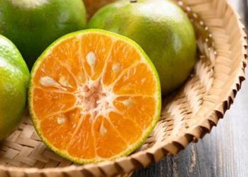 D:\2025\Oktober 2025\24 Oktober 2025\11\Halaman 1-11 Jumat\10 buah.jpg