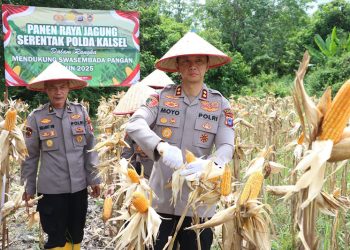 D:\2025\Oktober 2025\27 Oktober 2025\2\222\New Folder\Polres Tabalong Gelar Panen Raya Jagung Serentak.jpg