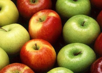 D:\2025\Oktober 2025\28 Oktober 2025\11\Halaman 1-11 Selasa\4 buah.jpg