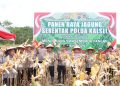 D:\2025\Oktober 2025\29 Oktober 2025\2\2\Polres HSU Dukung Swasembada Pangan Nasional.jpg