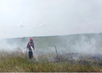 D:\2025\Oktober 2025\3 Oktober 2025\2\HSS Masih Tetapkan Status Siaga Karhutla.jpg