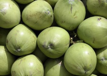 D:\2025\Oktober 2025\31 Oktober 2025\11\Halaman 1- 11 Jumat\ini dia.jpg