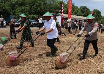 D:\2025\Oktober 2025\9 Oktober 2025\2\Pemkab Tala Dukung Penanaman Jagung di Tambang Ulang.jpg