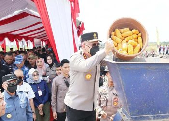 D:\2025\Oktober 2025\9 Oktober 2025\8\8\master opini.jpg