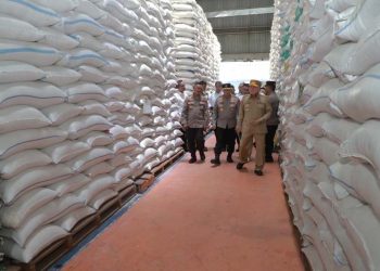 Gubernur dan Kapolda Kalsel Kunjungi Gudang Bulog