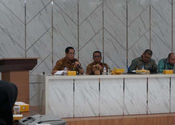 Bapperida dan ULM Bahas Peningkatan Layanan RSUD Datu Kandang Haji