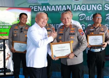 Gubernur: Kalsel Jadi Acuan Penanaman Jagung di Lahan Rawa