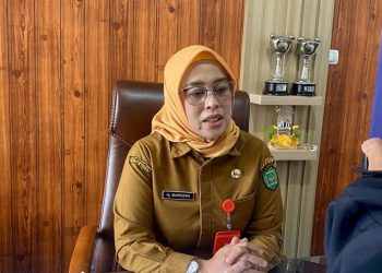 DP3A Tapin dampingi korban kekerasan seksual dilakukan ayah kandung