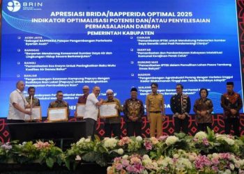 BRIN Memberikan Apresiasi Pemkab Banjar