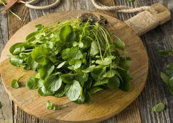 D:\2025\November 2025\10 November 2025\11\Halaman 1-11 Senin\selasa.jpg