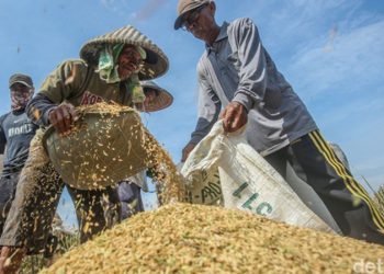 D:\2025\November 2025\10 November 2025\7\7\hal 7 - 2 klm (Bawah).jpg