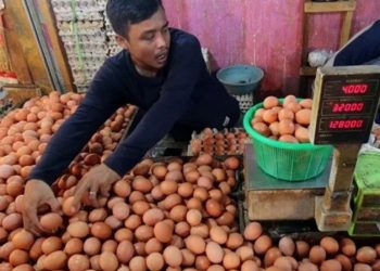 D:\2025\November 2025\12 November 2025\7\7\hal 7 - 2 klm (KIRI).jpg