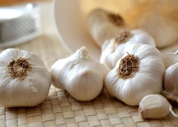 D:\2025\November 2025\19 November 2025\11\Halaman 1-11 Rabu\ini.jpg