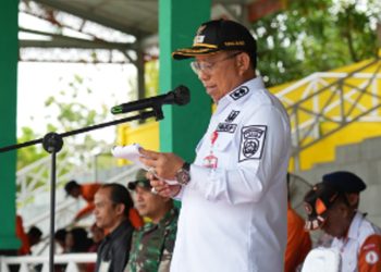 D:\2025\November 2025\20 November 2025\2\cascas.jpg