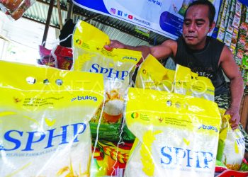 D:\2025\November 2025\21 November 2025\7\7\cascas.jpg