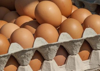 D:\2025\November 2025\25 November 2025\11\Halaman 1-11 Senin\kenapa.jpg