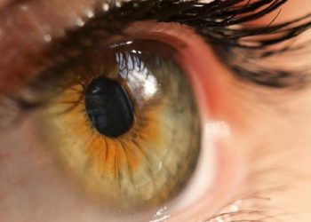 D:\2025\November 2025\25 November 2025\11\Halaman 1-11 Selasa\ingin.jpg