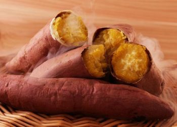 D:\2025\November 2025\27 November 2025\11\Halaman 1-11 Kamis\tren.jpg