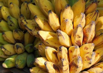 D:\2025\November 2025\4 November 2025\11\Halaman 1-11 Rabu\8 makanan.jpg