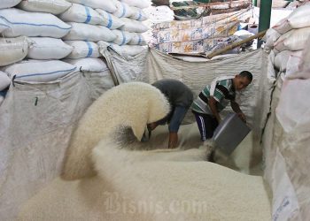 D:\2025\November 2025\4 November 2025\7\7\master 7.jpg