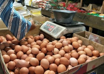 D:\2025\November 2025\6 November 2025\7\7\hal 7 - 2 klm (KIRI).jpg