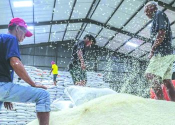 D:\2025\November 2025\7 November 2025\7\7\ft hal 7 - 2 klm (bawah).jpg