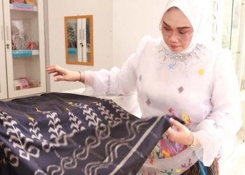 Ketua Dekranasda Tanbu Ajak Promosikan Kain Khas Tenun Pagatan