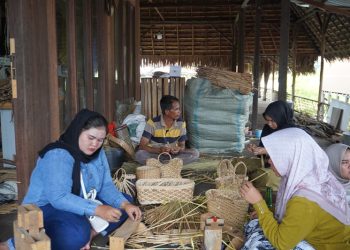Gulma di Sulap Jadi Kerajinan Bernilai Ekonomi