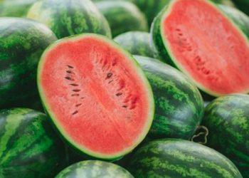 D:\2025\Desember 2025\11 Desember 2025\11\Halaman 1-11 Kamis\picu.jpg